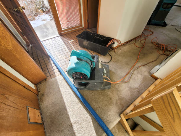 Best Emergency water damage restoration  in Ceresco, NE