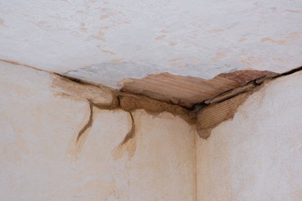 Best Emergency water damage restoration  in Ceresco, NE