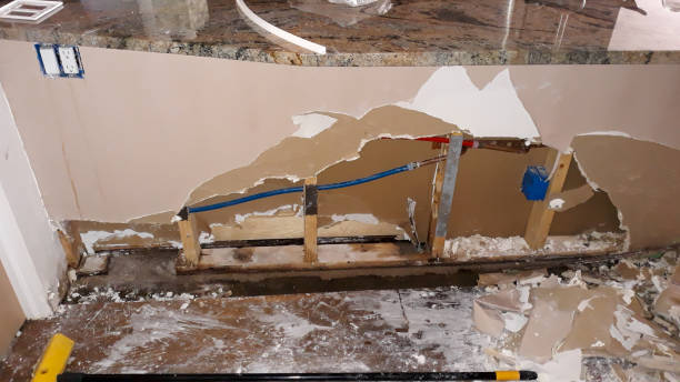 Best Carpet water damage restoration  in Ceresco, NE