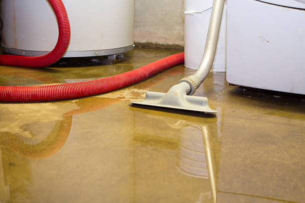 Best Water damage mitigation services  in Ceresco, NE