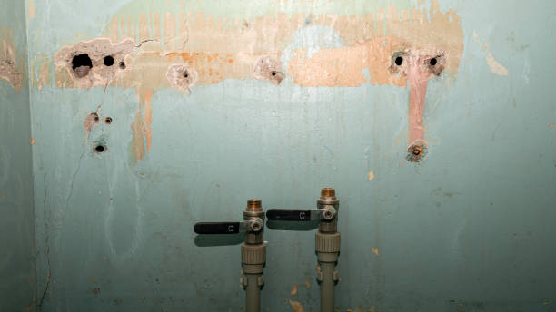 Best Residential water damage restoration  in Ceresco, NE